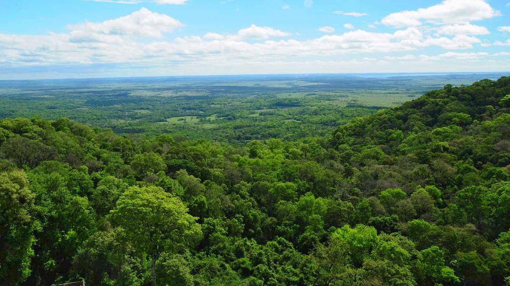Posada Del Chaman Iguazu Puerto Iguazú Eksteriør billede